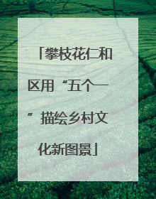 攀枝花仁和区用“五个一”描绘乡村文化新图景