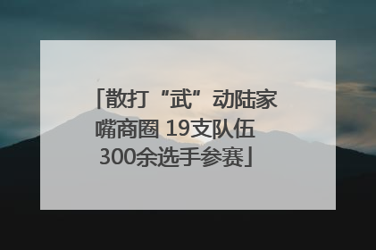 散打“武”动陆家嘴商圈 19支队伍300余选手参赛