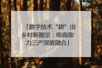 数字技术“耕”出乡村新图景：电商助力三产深度融合