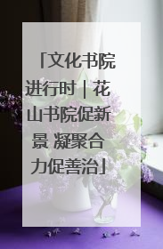 文化书院进行时｜花山书院促新景 凝聚合力促善治