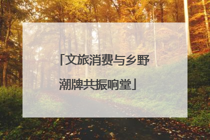 文旅消费与乡野潮牌共振响堂