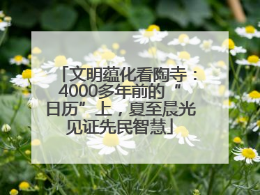 文明蕴化看陶寺：4000多年前的“日历”上，夏至晨光见证先民智慧