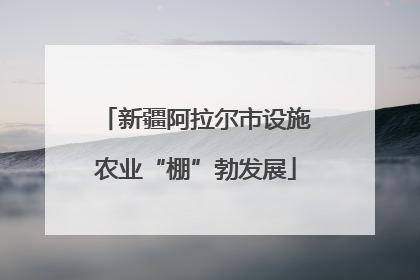 新疆阿拉尔市设施农业“棚”勃发展