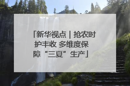 新华视点｜抢农时 护丰收 多维度保障“三夏”生产