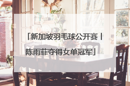 新加坡羽毛球公开赛丨陈雨菲夺得女单冠军
