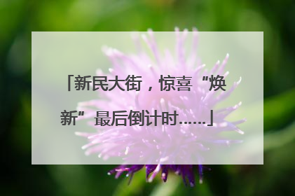 新民大街，惊喜“焕新”最后倒计时……
