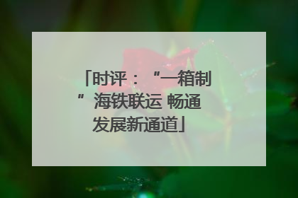 时评：“一箱制”海铁联运 畅通发展新通道