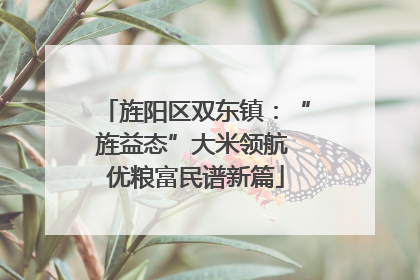 旌阳区双东镇：“旌益态”大米领航 优粮富民谱新篇