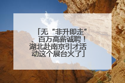 无“非升即走”、百万高薪诚聘！湖北赴南京引才活动这个展台火了