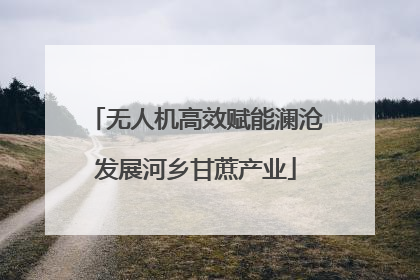 无人机高效赋能澜沧发展河乡甘蔗产业