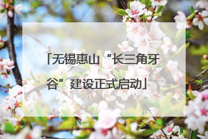 无锡惠山“长三角牙谷”建设正式启动
