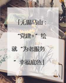 无锡马山：“党建+”绘就“为老服务”幸福底色