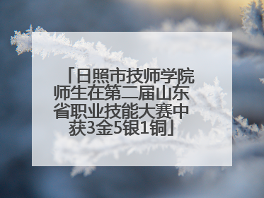 日照市技师学院师生在第二届山东省职业技能大赛中获3金5银1铜