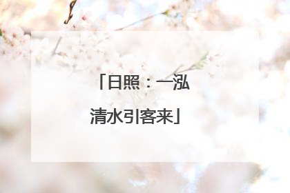 日照：一泓清水引客来