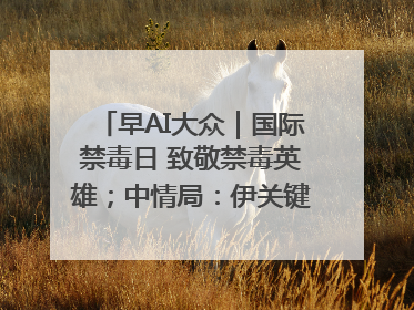 早AI大众｜国际禁毒日 致敬禁毒英雄；中情局：伊关键核设施被摧毁