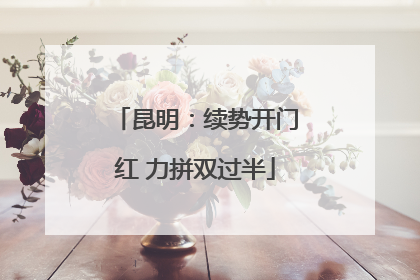 昆明：续势开门红 力拼双过半