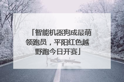 智能机器狗成最萌领跑员，平阳红色越野跑今日开赛