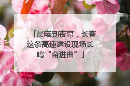 晨曦到夜幕，长春这条高速建设现场长鸣“奋进曲”
