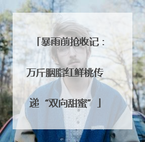 暴雨前抢收记：万斤胭脂红鲜桃传递“双向甜蜜”