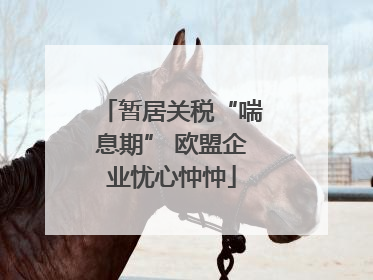 暂居关税“喘息期” 欧盟企业忧心忡忡