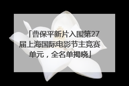 曹保平新片入围第27届上海国际电影节主竞赛单元，全名单揭晓