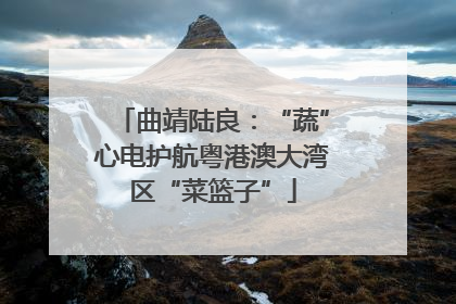 曲靖陆良：“蔬”心电护航粤港澳大湾区“菜篮子”