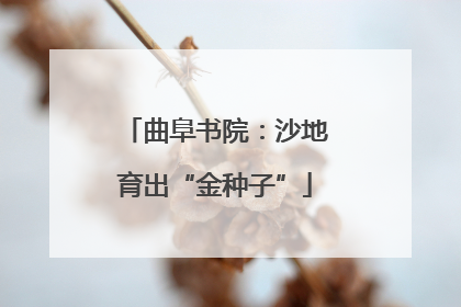 曲阜书院：沙地育出“金种子”