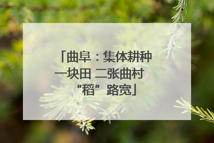 曲阜：集体耕种一块田 二张曲村“稻”路宽