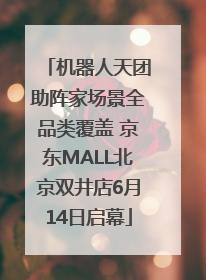 机器人天团助阵家场景全品类覆盖 京东MALL北京双井店6月14日启幕