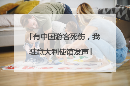 有中国游客死伤，我驻意大利使馆发声