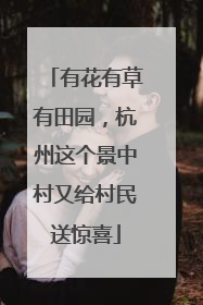有花有草有田园，杭州这个景中村又给村民送惊喜