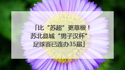 比“苏超”更草根！苏北县城“男子汉杯”足球赛已连办35届