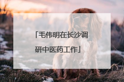 毛伟明在长沙调研中医药工作