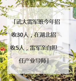 武大雷军班今年招收30人，在湖北招收5人，雷军亲自担任产业导师