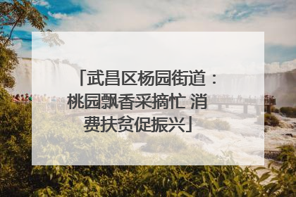 武昌区杨园街道：桃园飘香采摘忙 消费扶贫促振兴