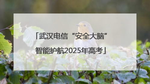 武汉电信“安全大脑” 智能护航2025年高考