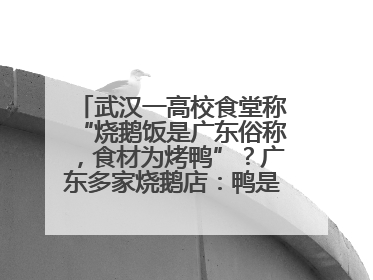武汉一高校食堂称“烧鹅饭是广东俗称，食材为烤鸭”？广东多家烧鹅店：鸭是鸭鹅是鹅