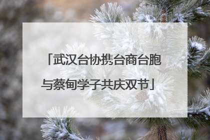武汉台协携台商台胞与蔡甸学子共庆双节