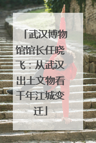 武汉博物馆馆长任晓飞：从武汉出土文物看千年江城变迁