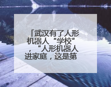 武汉有了人形机器人“学校”，“人形机器人进家庭，这是第一步”