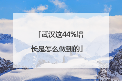 武汉这44%增长是怎么做到的