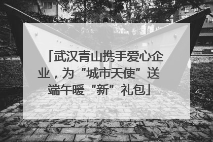 武汉青山携手爱心企业，为“城市天使”送端午暖“新”礼包