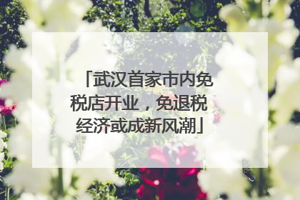 武汉首家市内免税店开业，免退税经济或成新风潮