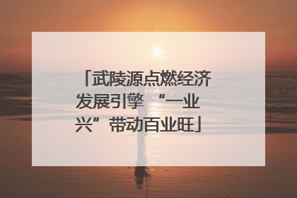 武陵源点燃经济发展引擎 “一业兴”带动百业旺