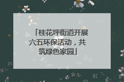 桂花坪街道开展六五环保活动，共筑绿色家园