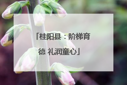 桂阳县：阶梯育德 礼润童心