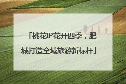 桃花IP花开四季，肥城打造全域旅游新标杆