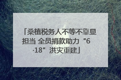 桑植税务人不等不靠显担当 全员捐款助力“6·18”洪灾重建