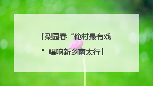 梨园春“俺村最有戏”唱响新乡南太行