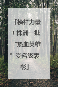 榜样力量！株洲一批“热血英雄”受省级表彰